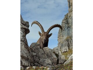 Appartamento per vacanze Holzgau Ambiente 24