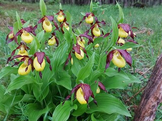 Appartamento per vacanze Holzgau Ambiente 22