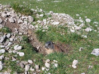 Appartamento per vacanze Holzgau Ambiente 25