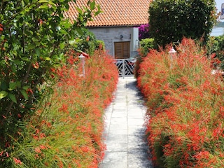 Apartment Orebic  10