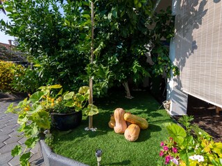 Apartment Rovinj  10