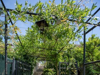 Holiday room Suđurađ  3