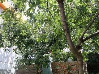 Apartment Njivice  17