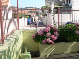 Apartment Vis (Stadt)  21