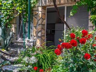 Apartment Novi Vinodolski  22