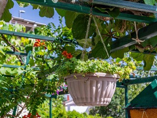 Apartment Novi Vinodolski  24