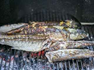 Apartment Zivogosce  7