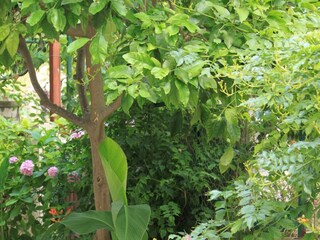 Apartment Zivogosce  7