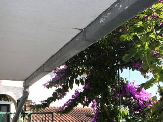 Apartment Podgora  19