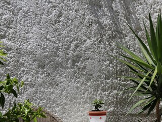 Apartment Korcula (Stadt)  8