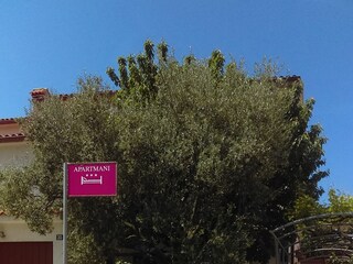 Apartment Fažana  3