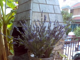 Apartment Fažana  8