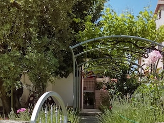 Apartment Fažana  9