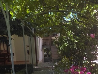 Apartment Fažana  10