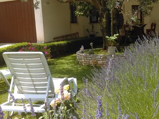 Apartment Fažana  12