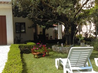 Apartment Fažana  1