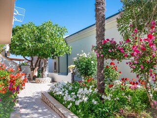 Apartment Povljana  4