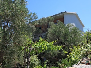 Apartment Cres Stadt  5