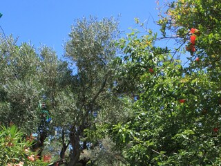 Apartment Cres Stadt  6