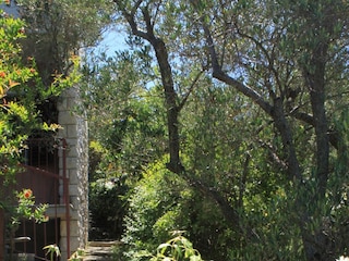 Apartment Cres Stadt  7