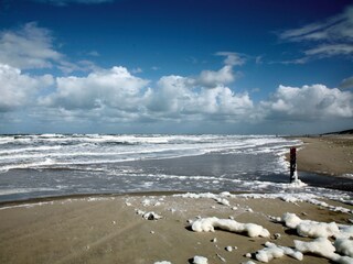 Appartamento per vacanze De Koog Ambiente 13