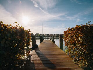 Blick vom Steg auf den See