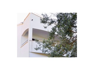 Apartment Okrug Gornji  3