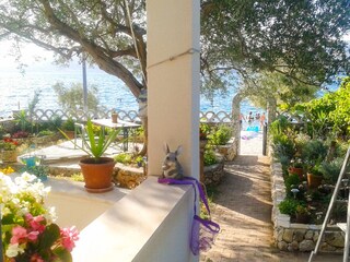 Apartment Okrug Gornji  7