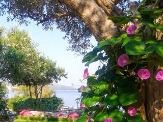 Apartment Okrug Gornji  13