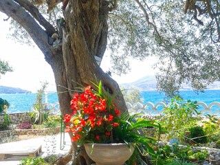 Apartment Okrug Gornji  14