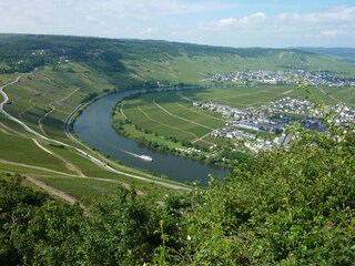 Moselschleife Trittenheim