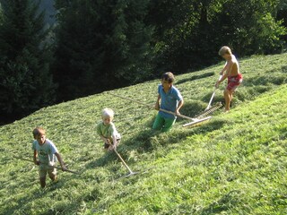 Appartamento per vacanze Zell am Ziller Ambiente 18