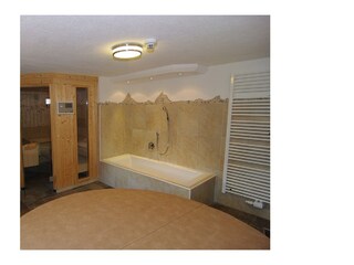 Appartamento per vacanze Zell am Ziller Caratteristiche 12