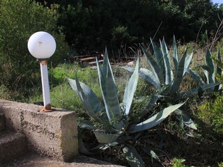 Apartment Vis (Stadt)  10