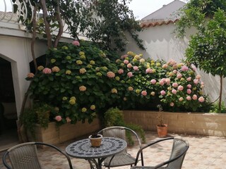 Apartment Vis (Stadt)  9