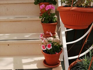 Apartment Vis (Stadt)  11