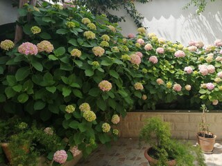 Apartment Vis (Stadt)  12