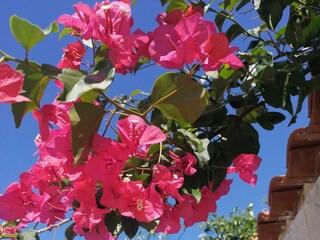 Apartment Vis (Stadt)  14