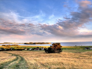 Blick in die Umgebung auf Rügen