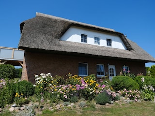 Das Ferienhaus