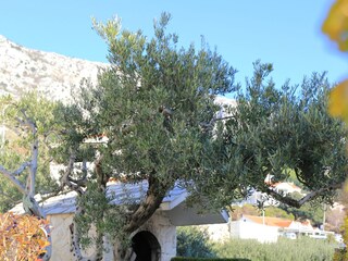 Apartment Stanici  9