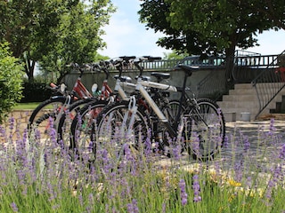Casa per le vacanze Kanfanar Documento 21