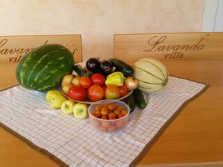 Vakantiehuis Kanfanar Buitenaudio-opname 3