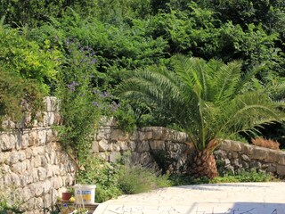 Apartment Šipanska Luka  7