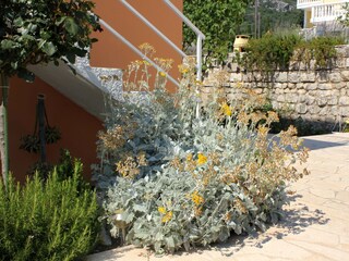 Apartment Šipanska Luka  8