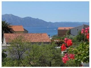 Apartment Sućuraj  37