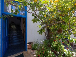 Apartment Sućuraj  15