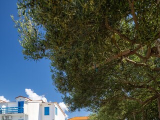 Apartment Sućuraj  20