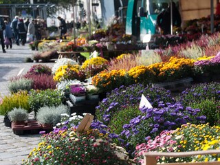 Wochenmarkt in Neustadt