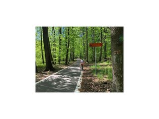 Casa de vacaciones Mielenko Entorno 24